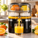 Espremedor Duplo de Laranjas Sucoduo - Garimpo